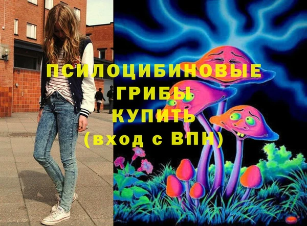круглые Армянск