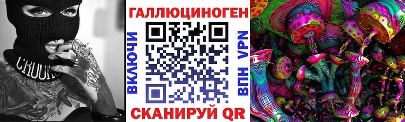 Псилоцибиновые грибы Psilocybe  Армянск 